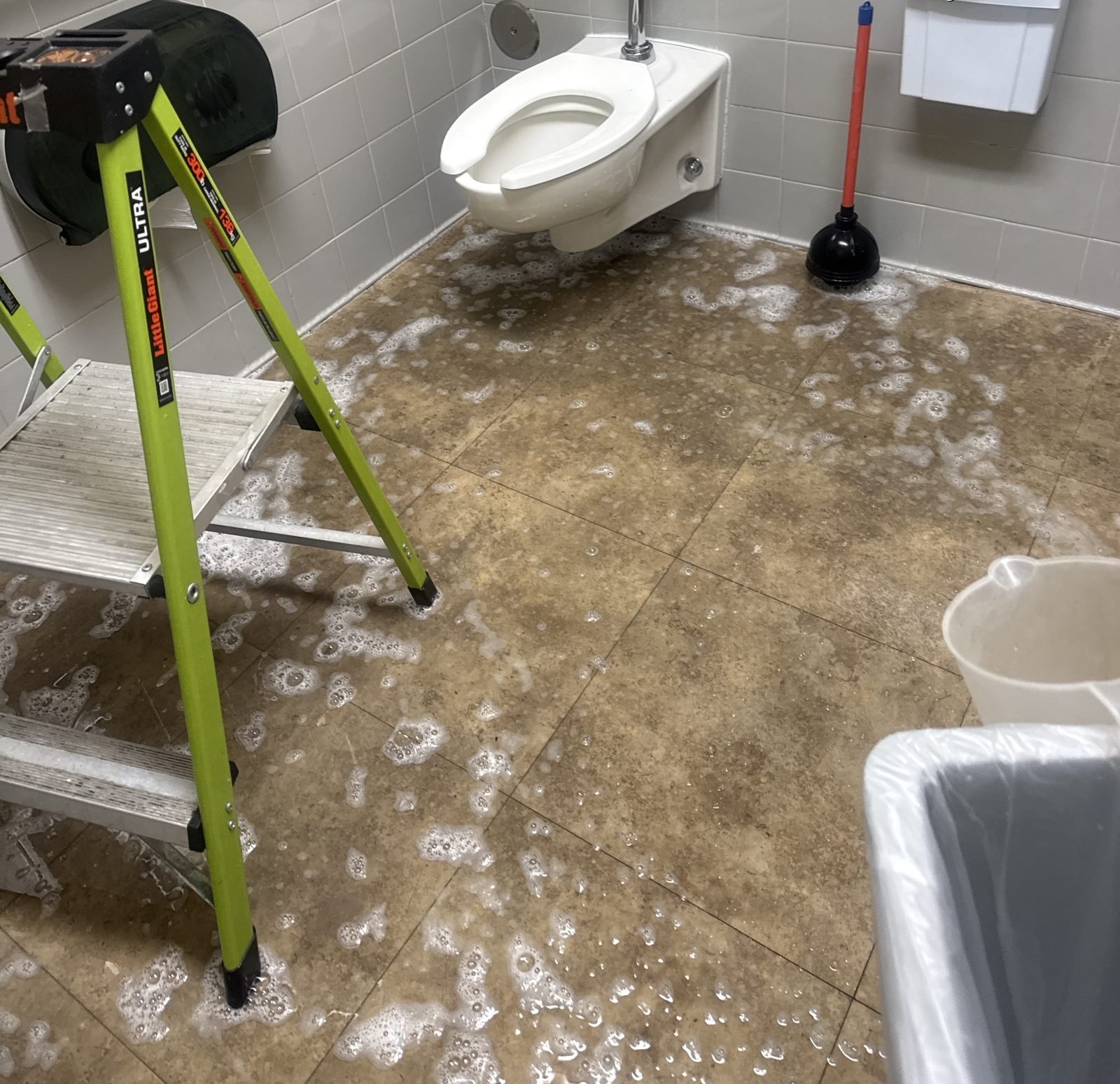 Bathroom: Floor scrubbed down tile by tile